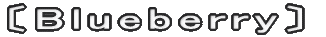 〔Blueberry〕 