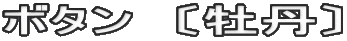 ボタン　〔牡丹〕 
