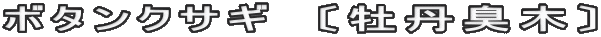 ボタンクサギ　〔牡丹臭木〕