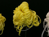 写真「キク〔菊〕の花」大掴み