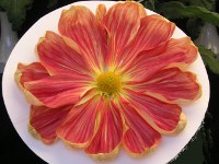 キク〔菊〕の花（写真）一文字