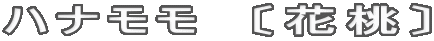 ハナモモ　〔花桃〕