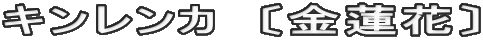 キンレンカ　〔金蓮花〕
