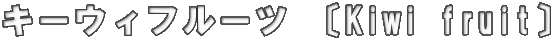 キーウィフルーツ 〔Kiwi fruit〕