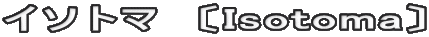 イソトマ　〔Isotoma〕