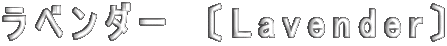 ラベンダー　〔Lavender〕 