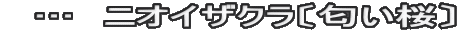 　…　ニオイザクラ〔匂い桜〕