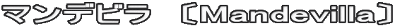 マンデビラ　〔Mandevilla〕