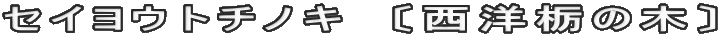 セイヨウトチノキ　〔西洋栃の木〕