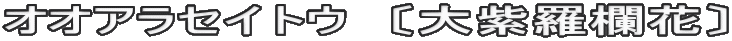 オオアラセイトウ　〔大紫羅欄花〕
