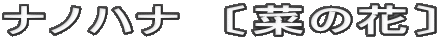 ナノハナ　〔菜の花〕