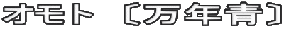 オモト　〔万年青〕 