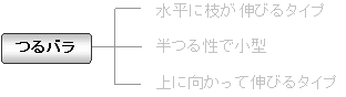 つるバラ