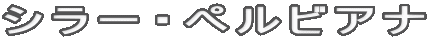 シラー・ペルビアナ