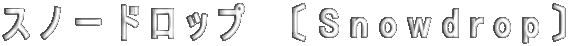 スノードロップ　〔Snowdrop〕 