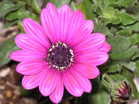 �}�����̉�