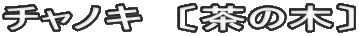 チャノキ　〔茶の木〕