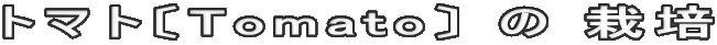 トマト〔Tomato〕 の 栽培