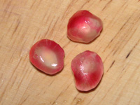 写真「ザクロ〔石榴、柘榴、若榴〕の実」