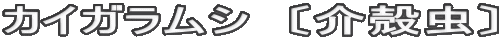 カイガラムシ　〔介殻虫〕