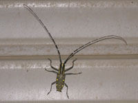 �L�{�V�J�~�L��