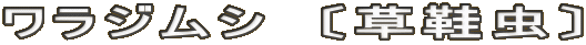 ワラジムシ　〔草鞋虫〕