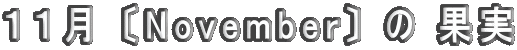 �P�P�� �kNovember�l �� �ʎ� 