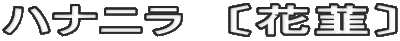 ハナニラ　〔花韮〕